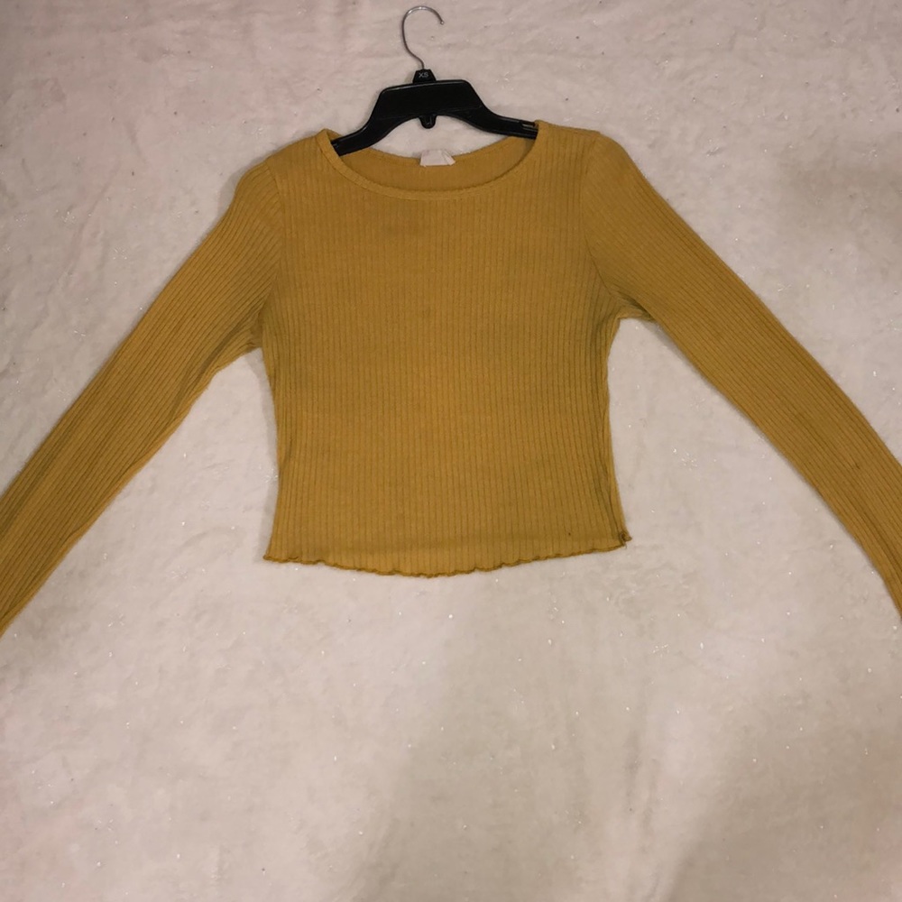 Long sleeve fitted crop top.